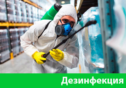 Дезинфекция в городе Дубна