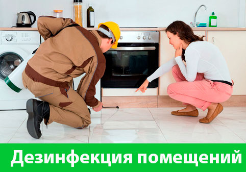 Дезинфекция офисов от коронавируса в городе Дубна