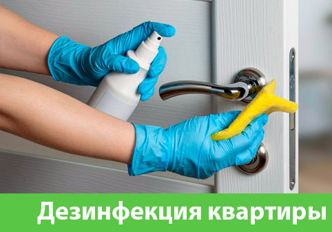 Дезинфекция квартиры в городе Дубна
