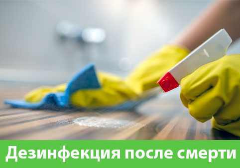 Дезинфекция после смерти в городе Дубна