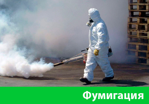 Фумигация в городе Дубна