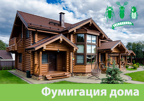 Преимущества обработки газом в городе Дубна