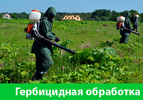 Гербицидная обработка в городе Дубна