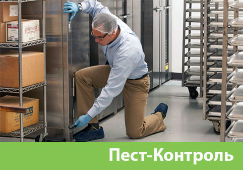 Пэст-Контроль в городе Дубна