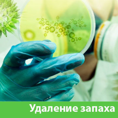 Удаление запахов в Дубне