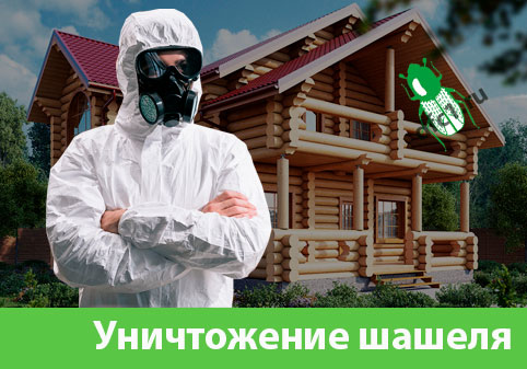 Уничтожение шашеля и личинок в Дубне