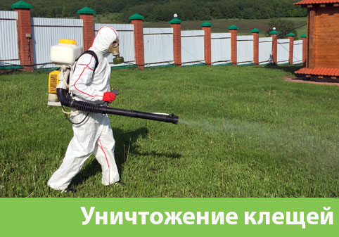 Уничтожение клещей в городе Дубна
