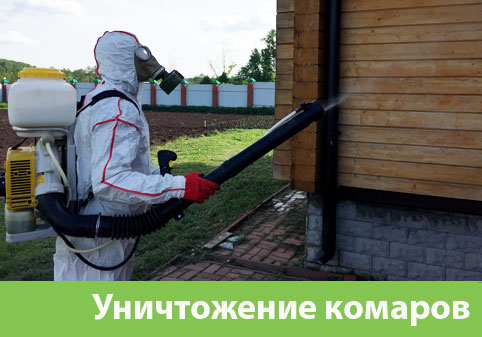 Уничтожение комаров в городе Дубна