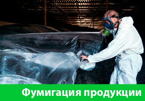 Фумигация продукции в городе Дубна